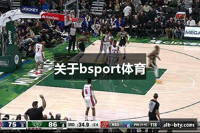 关于bsport体育